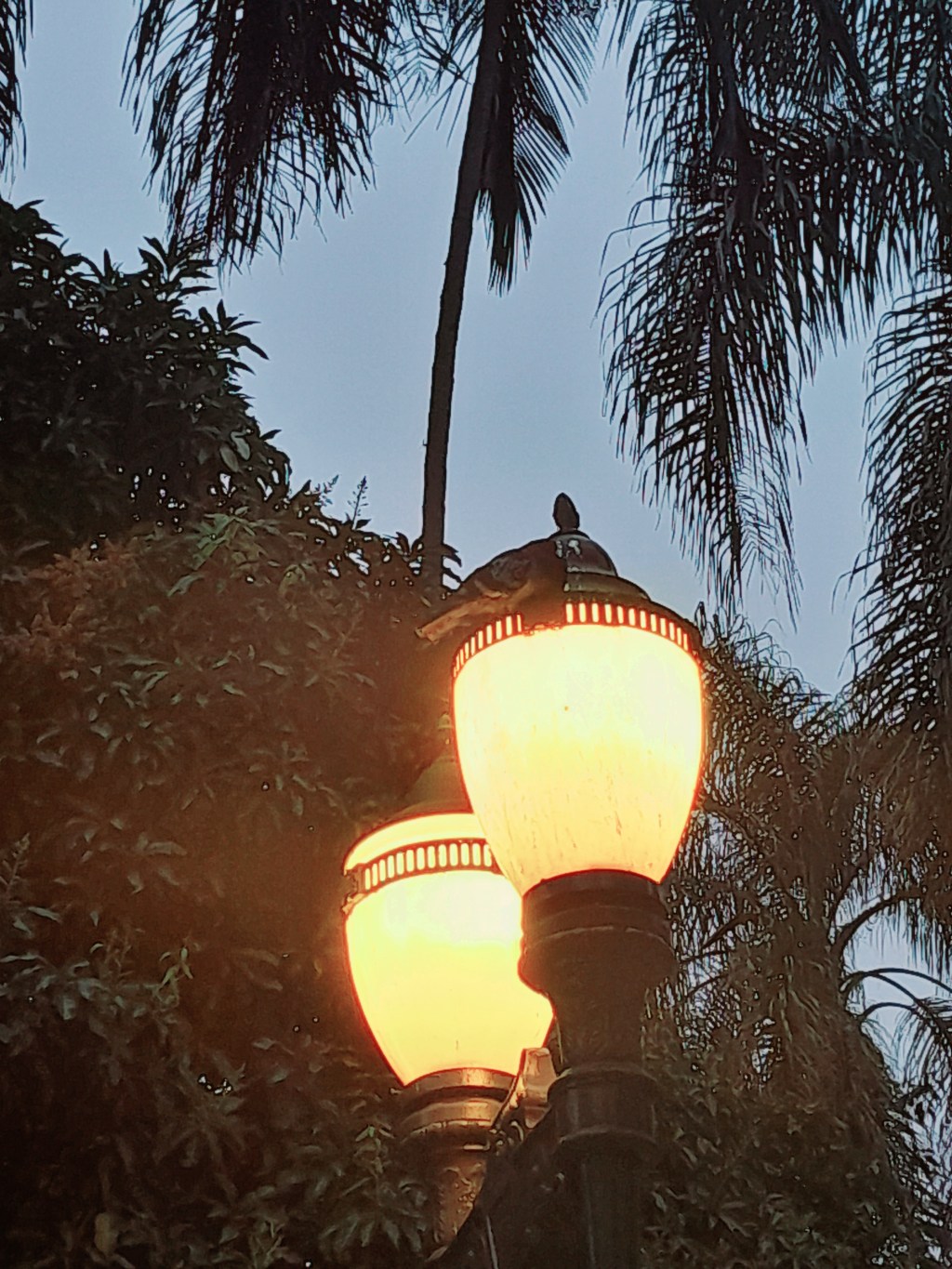 Aquecer a Alma é&nbsp;Necessário