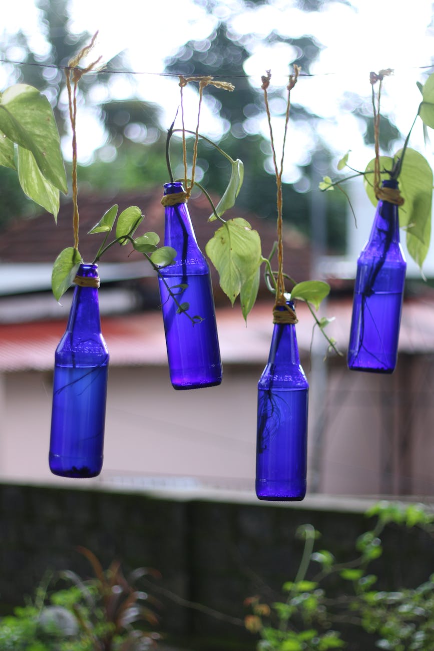 Jardim Suspenso